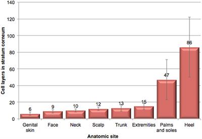 Sensitive Skin in the Genital Area